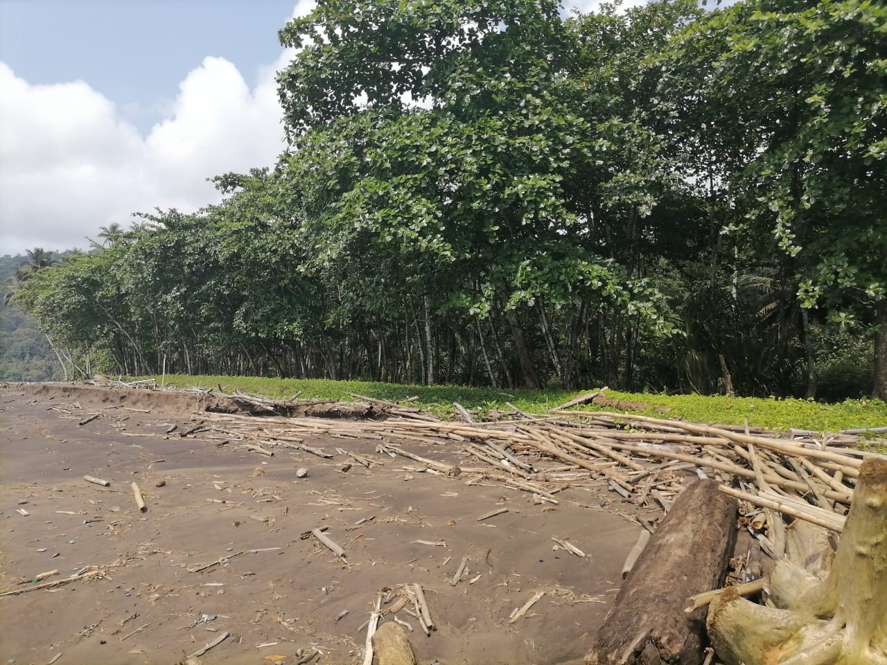 Home codeysa stp beach land