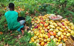 stp agric px5